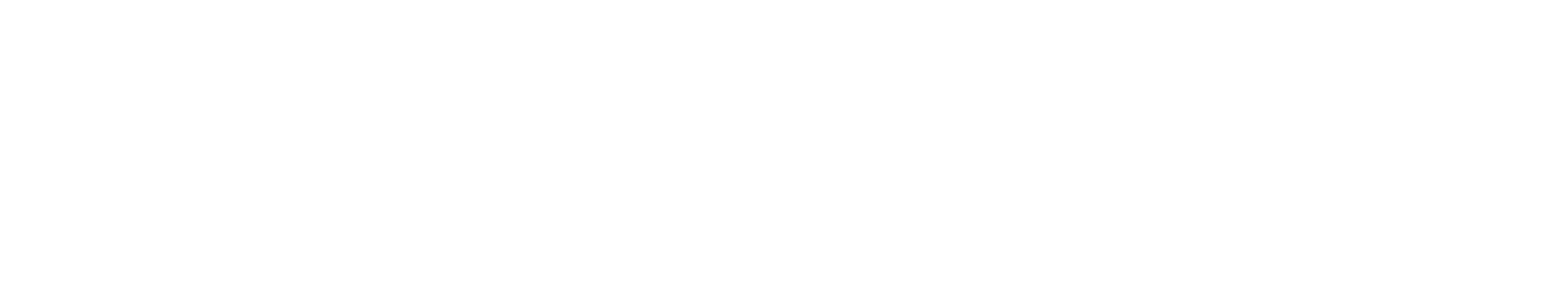 LoyaltyPerfect Horizontal Logo White